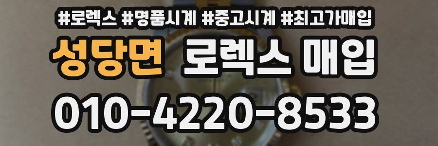 성당면 로렉스 매입