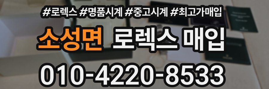 소성면 로렉스 매입