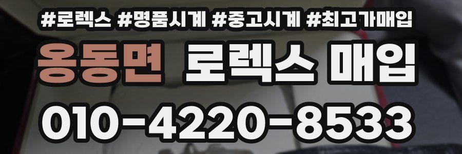 옹동면 로렉스 매입