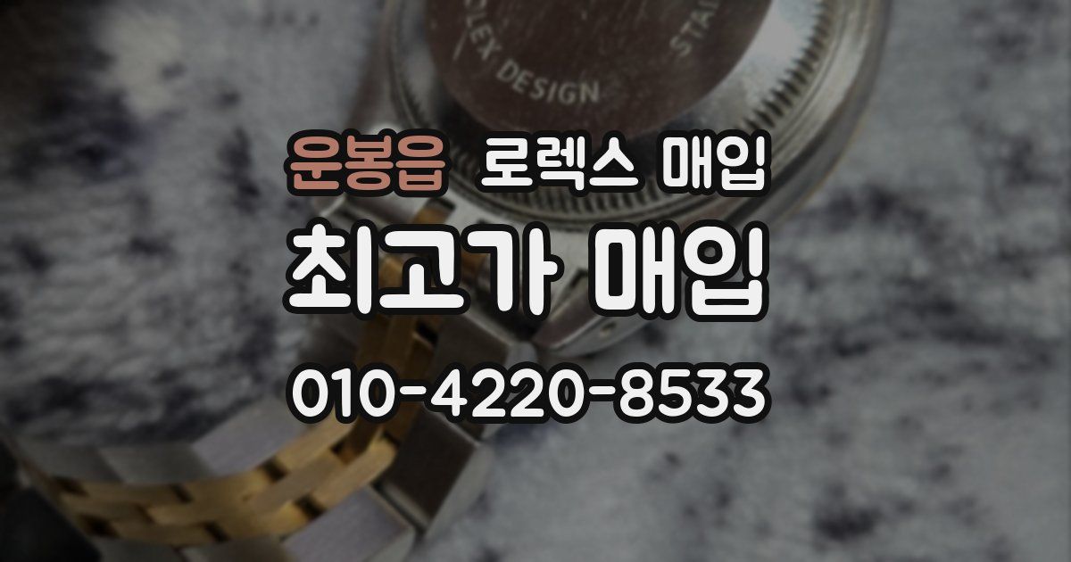 운봉읍 로렉스 매입