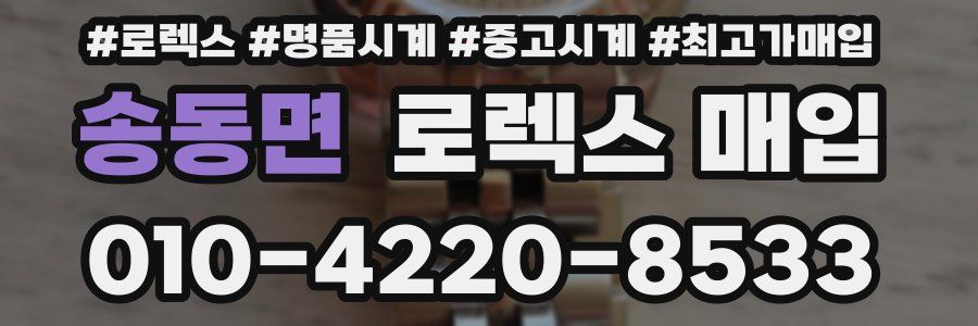 송동면 로렉스 매입