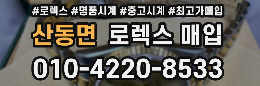 산동면 로렉스 매입