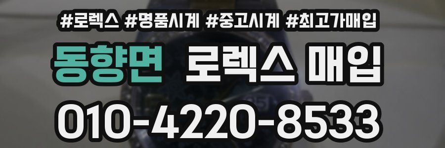 동향면 로렉스 매입