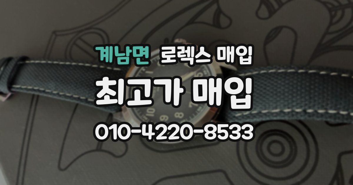 계남면 로렉스 매입