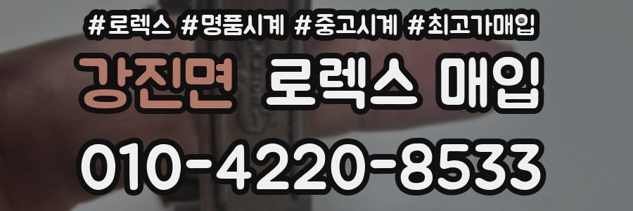 강진면 로렉스 매입