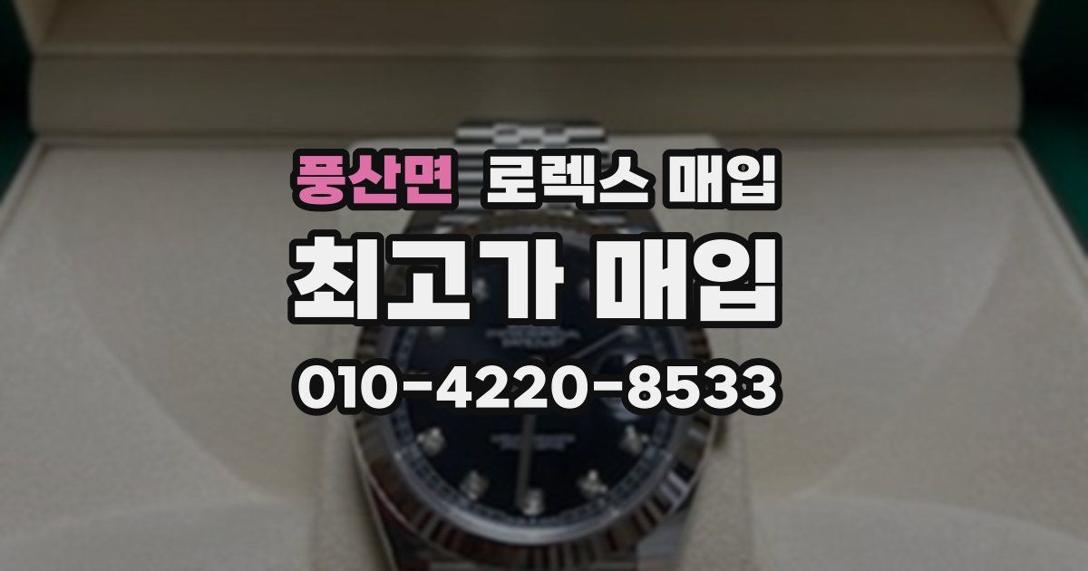 풍산면 로렉스 매입