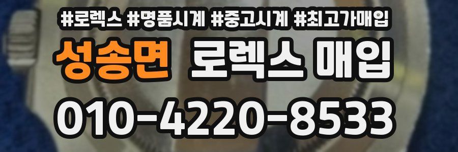성송면 로렉스 매입