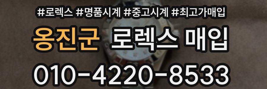 옹진군 로렉스 매입