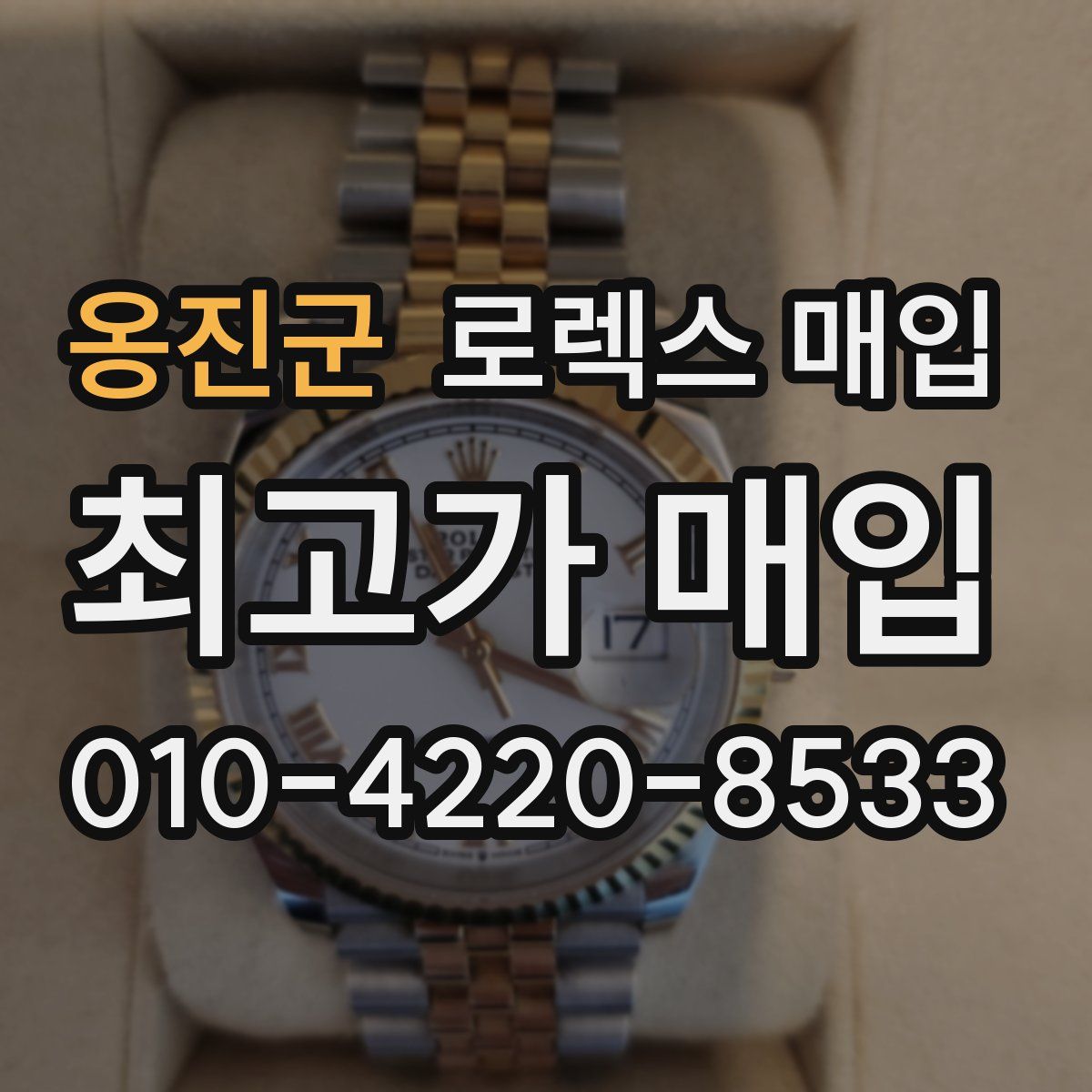 옹진군 로렉스 매입