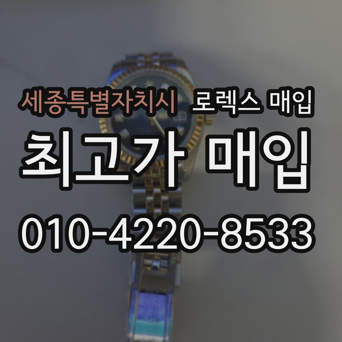 세종특별자치시 로렉스 매입