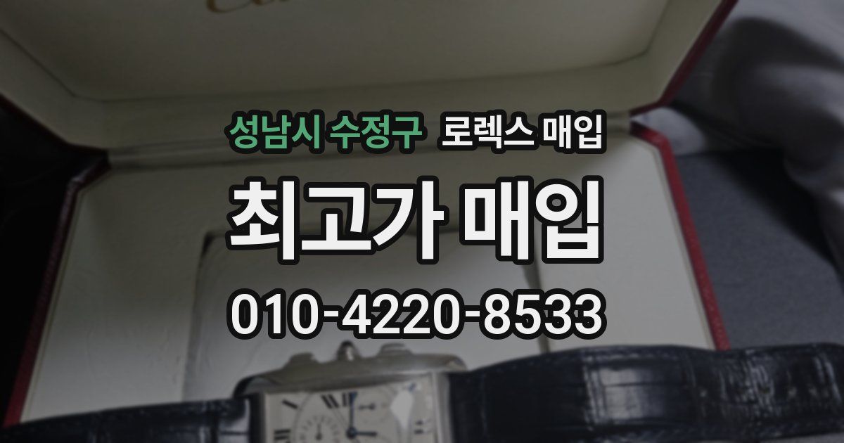 성남시 수정구 로렉스 매입