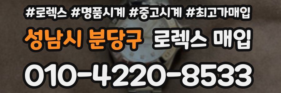 성남시 분당구 로렉스 매입