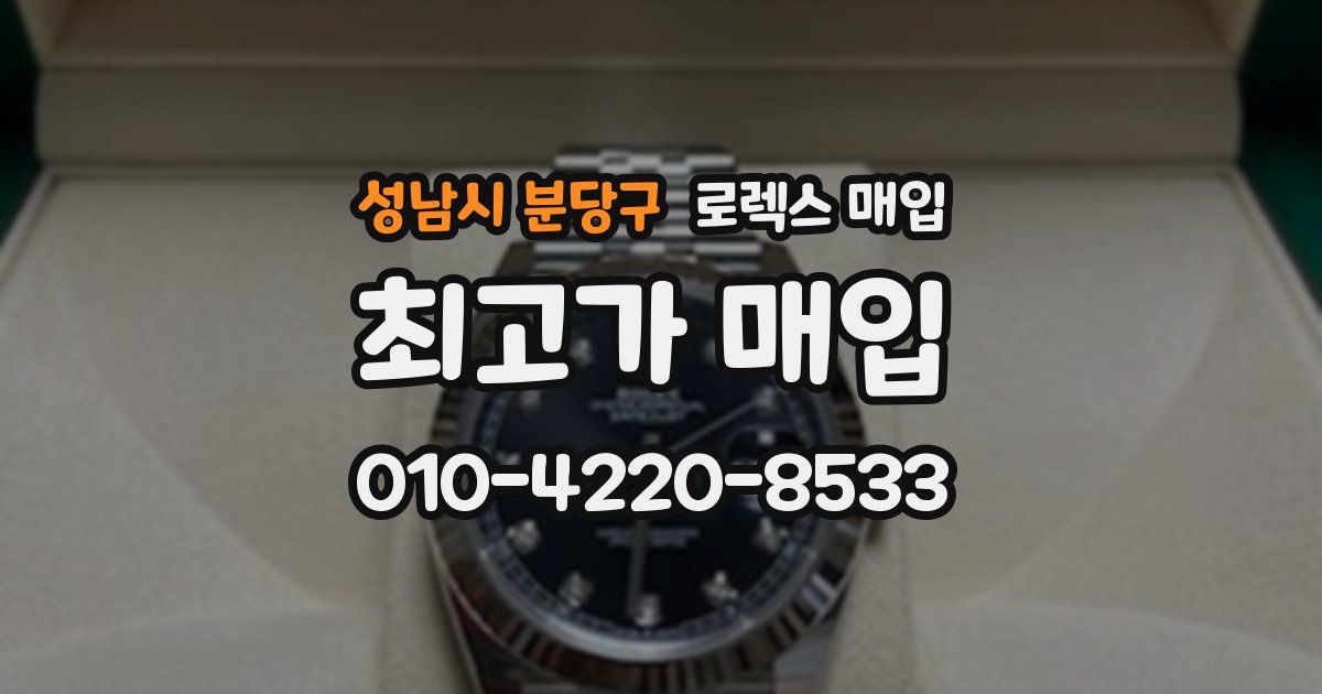 성남시 분당구 로렉스 매입