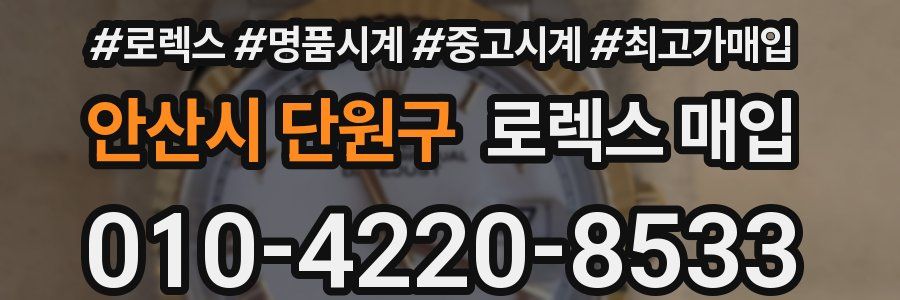 안산시 단원구 로렉스 매입