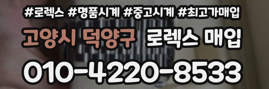 고양시 덕양구 로렉스 매입
