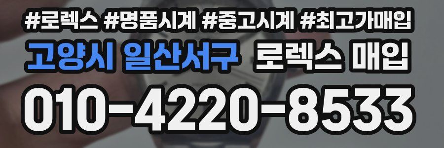 고양시 일산서구 로렉스 매입