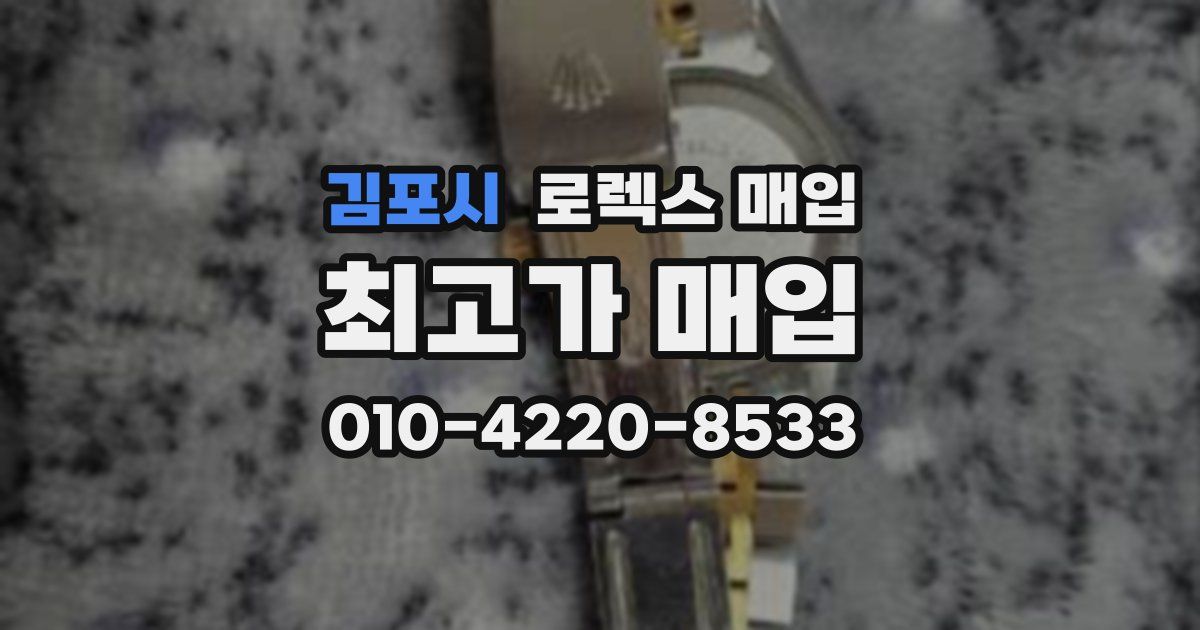 김포시 로렉스 매입