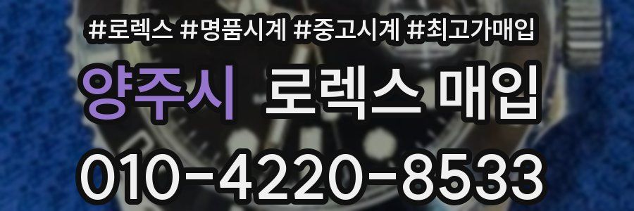 양주시 로렉스 매입