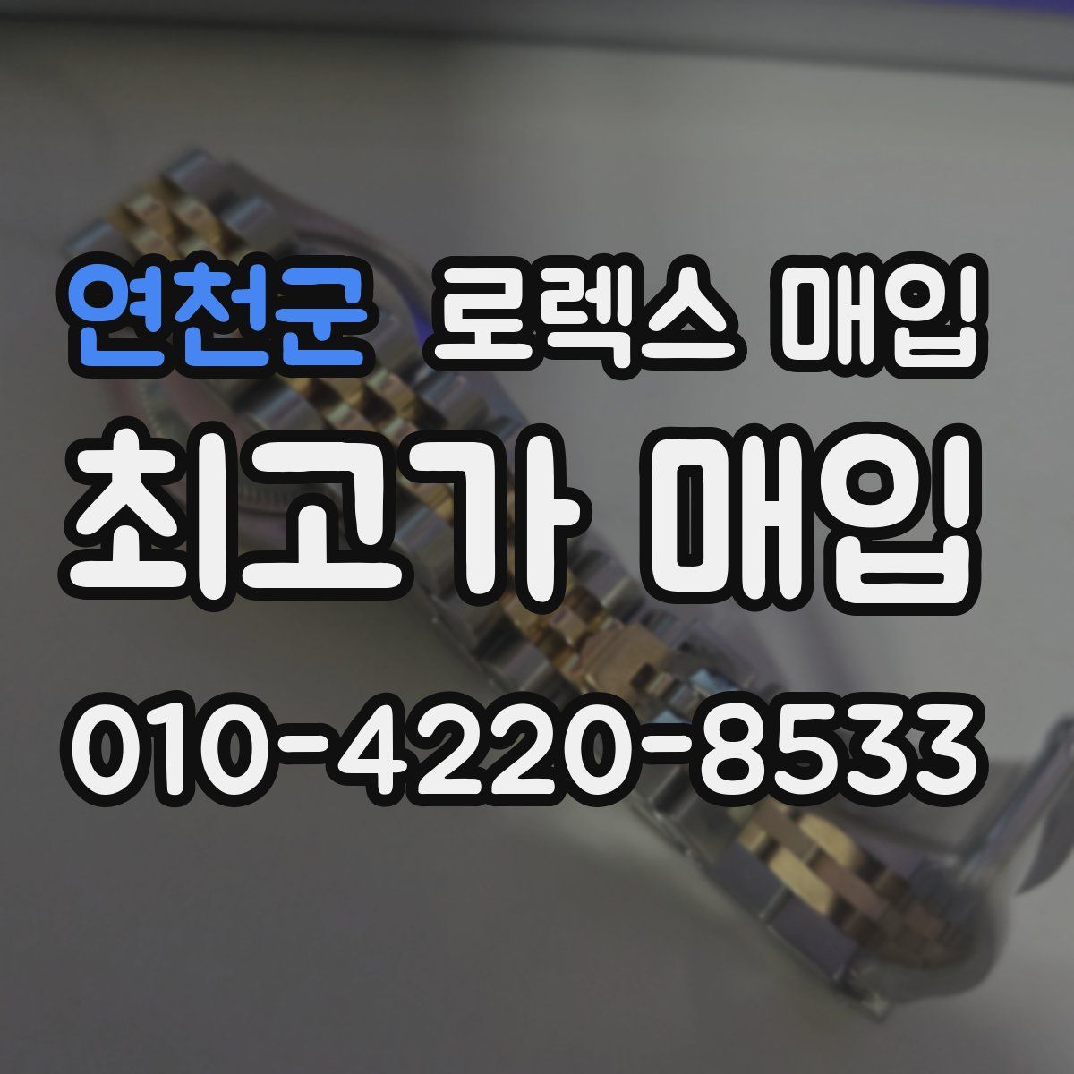 연천군 로렉스 매입
