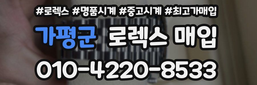 가평군 로렉스 매입