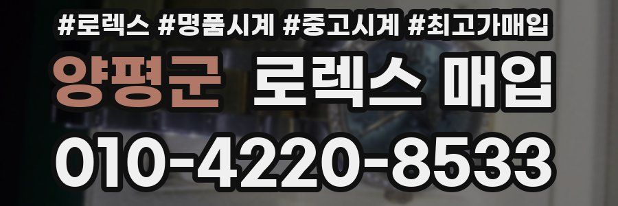 양평군 로렉스 매입