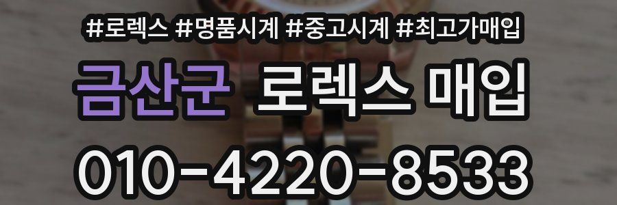 금산군 로렉스 매입