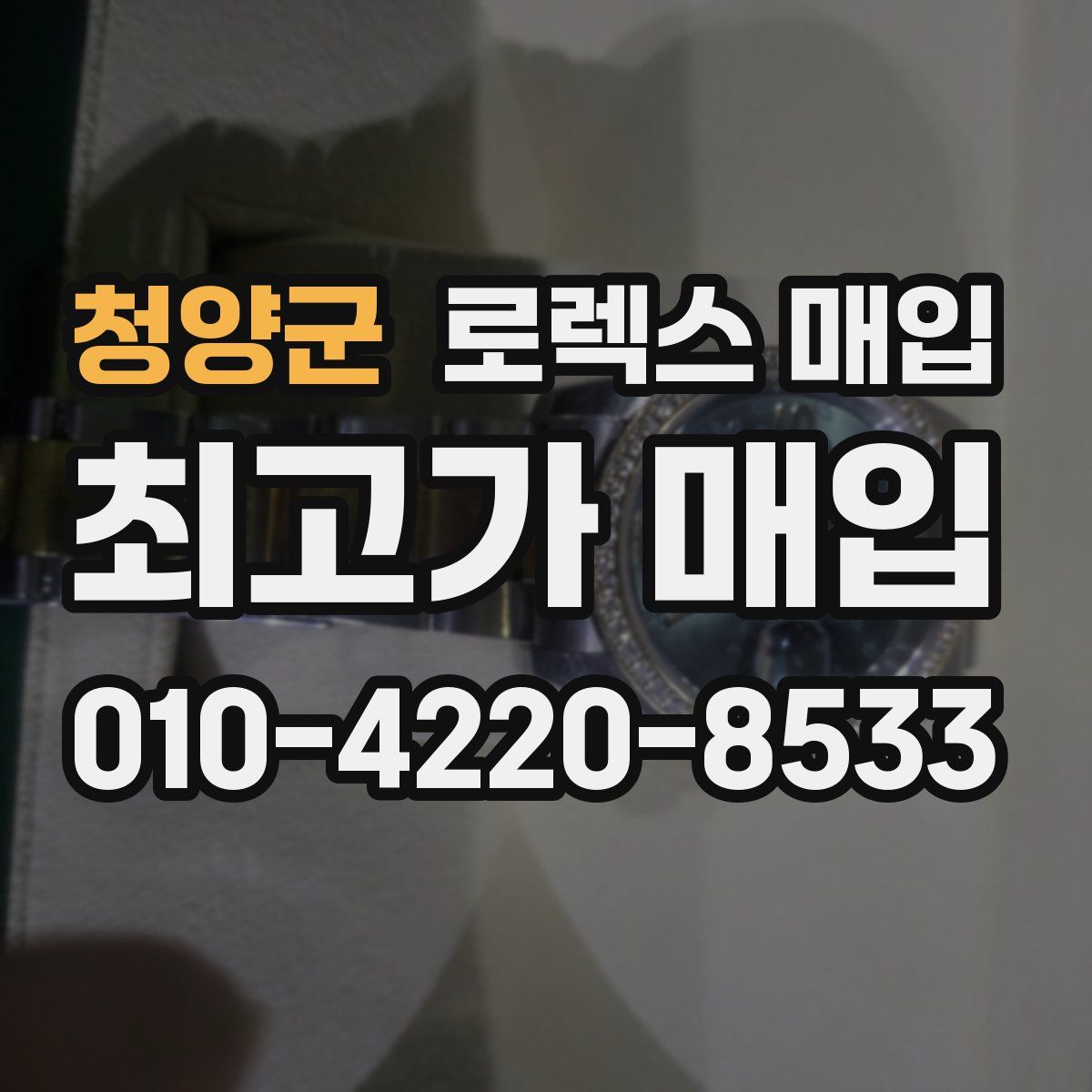 청양군 로렉스 매입