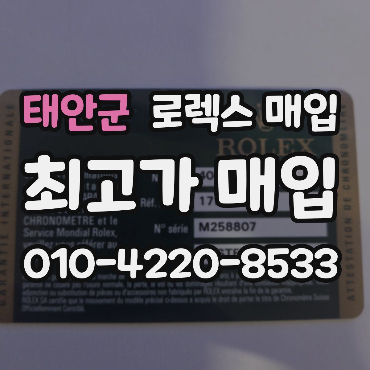 태안군 로렉스 매입