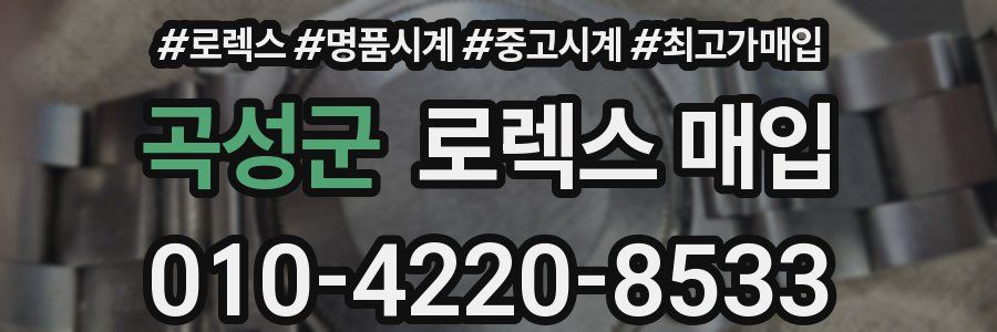 곡성군 로렉스 매입