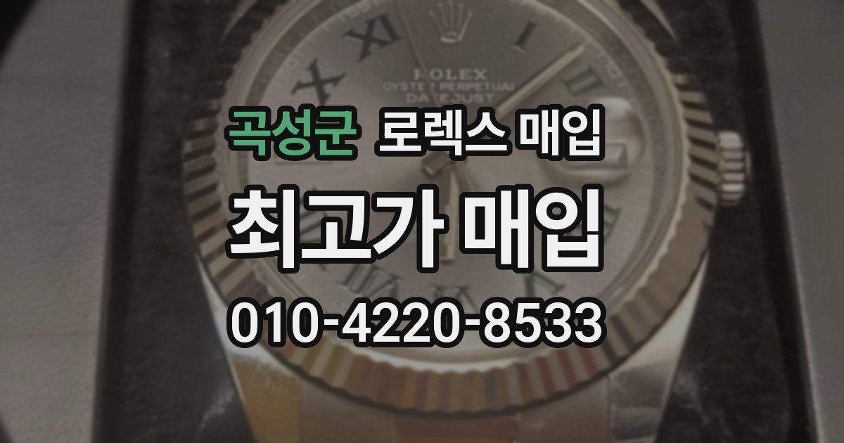 곡성군 로렉스 매입