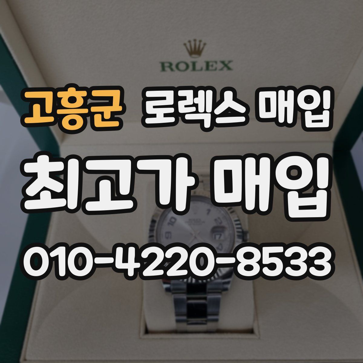 고흥군 로렉스 매입