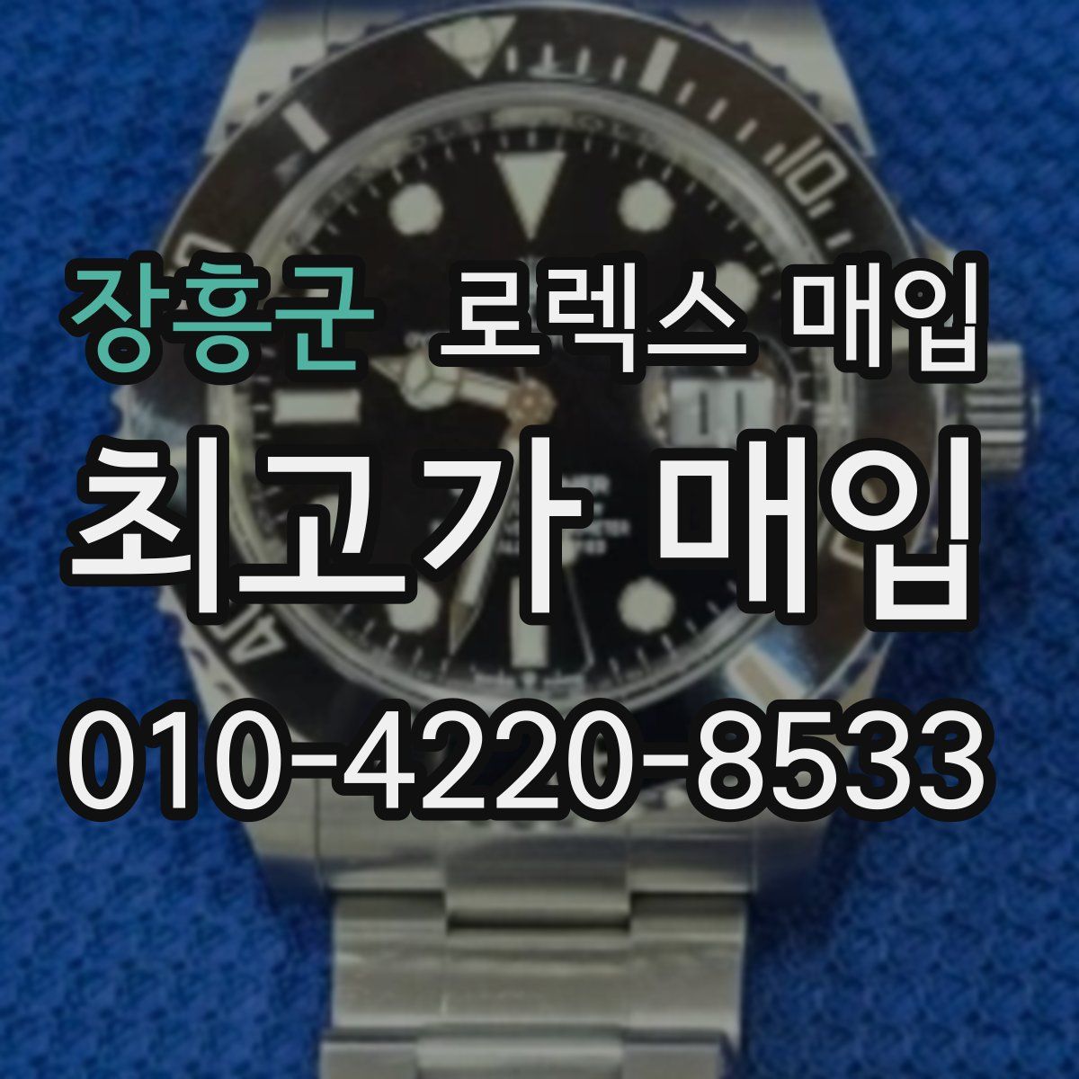 장흥군 로렉스 매입