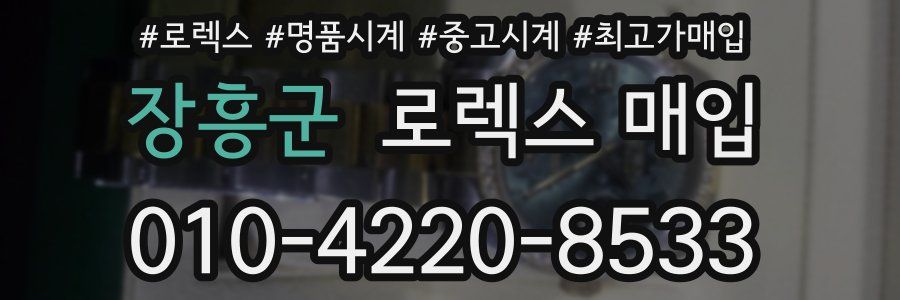 장흥군 로렉스 매입