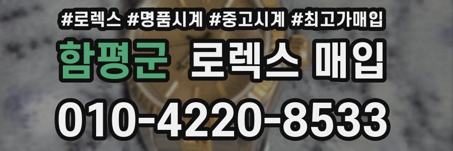 함평군 로렉스 매입