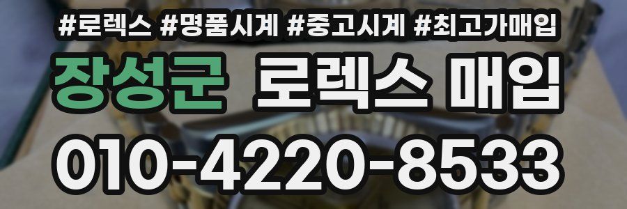 장성군 로렉스 매입