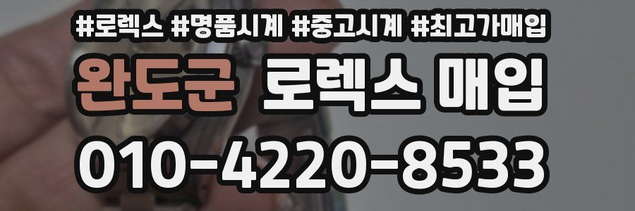 완도군 로렉스 매입