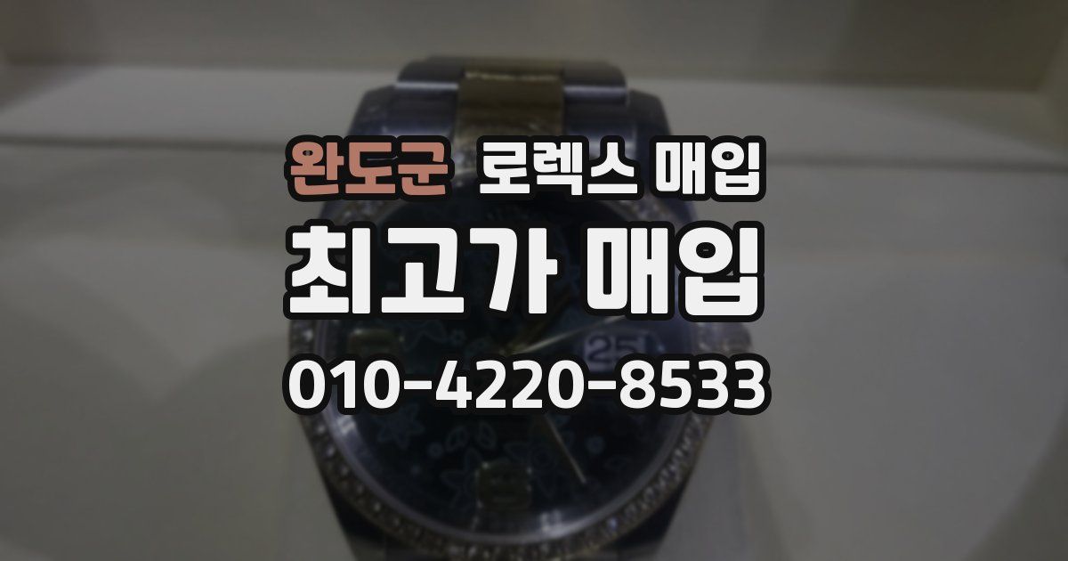 완도군 로렉스 매입