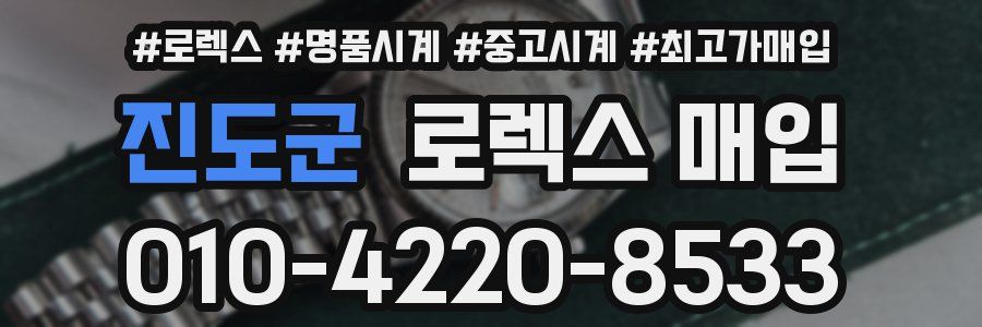 진도군 로렉스 매입