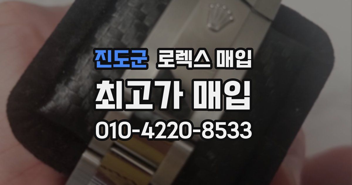 진도군 로렉스 매입