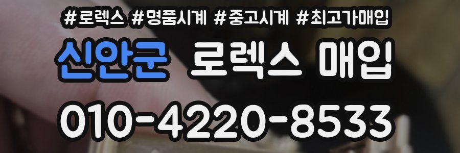 신안군 로렉스 매입