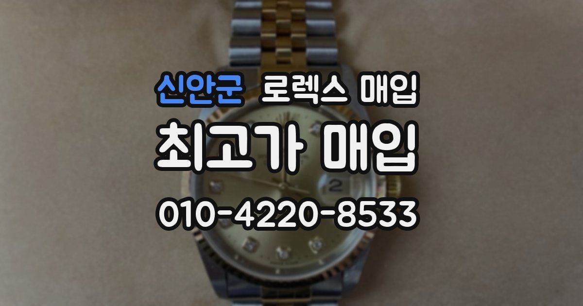 신안군 로렉스 매입