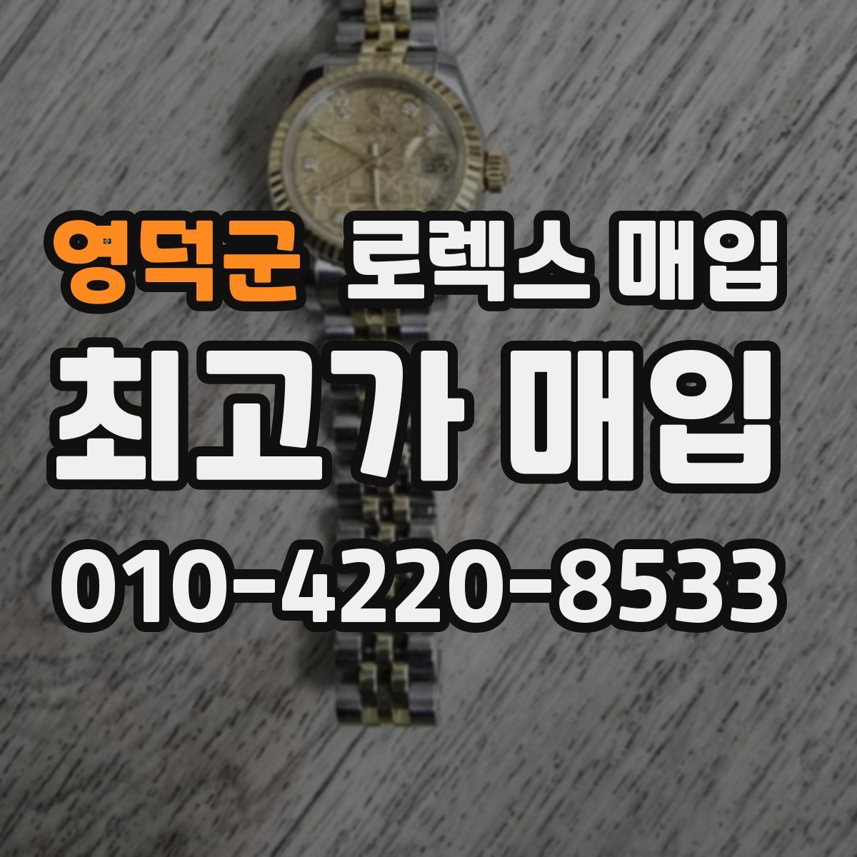 영덕군 로렉스 매입