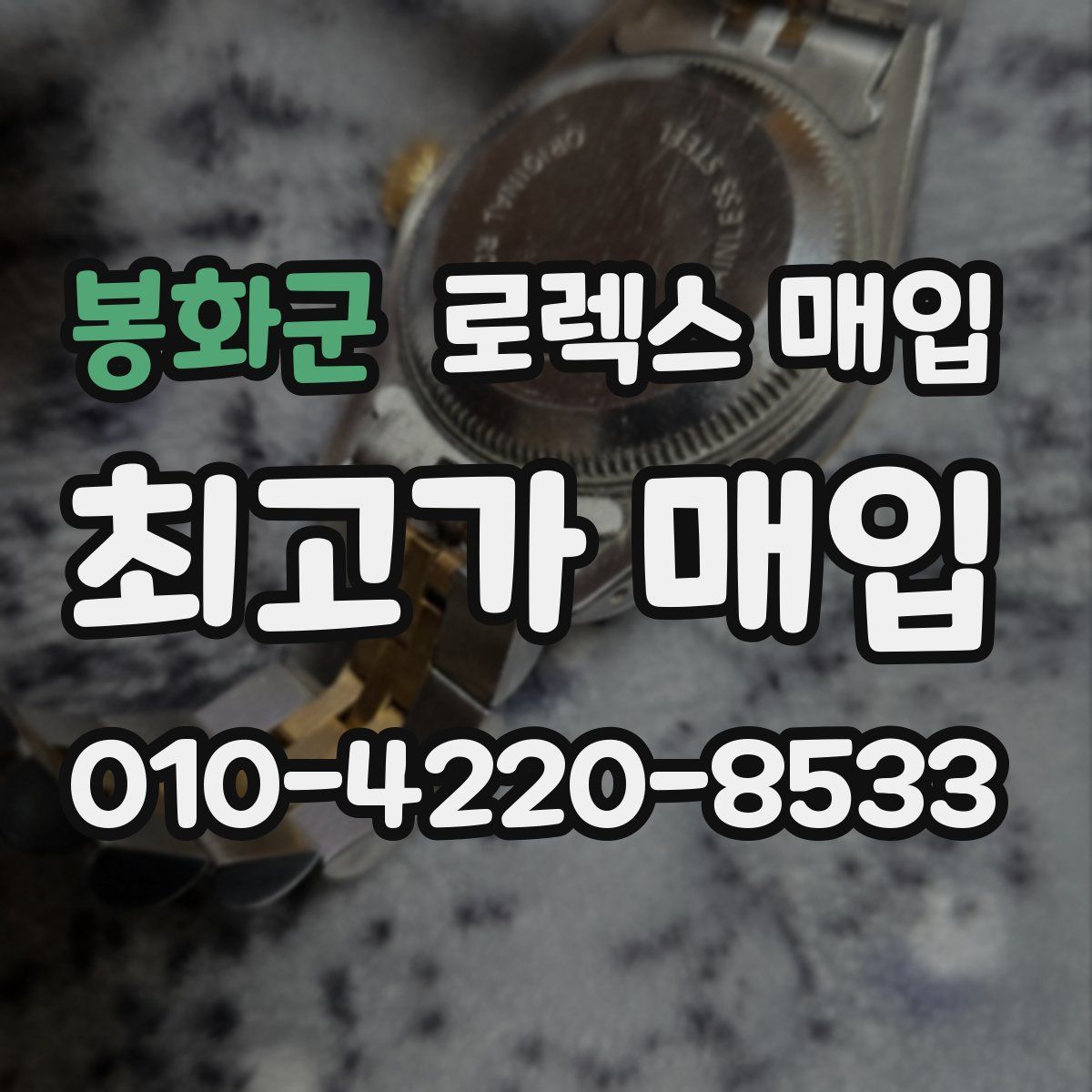 봉화군 로렉스 매입