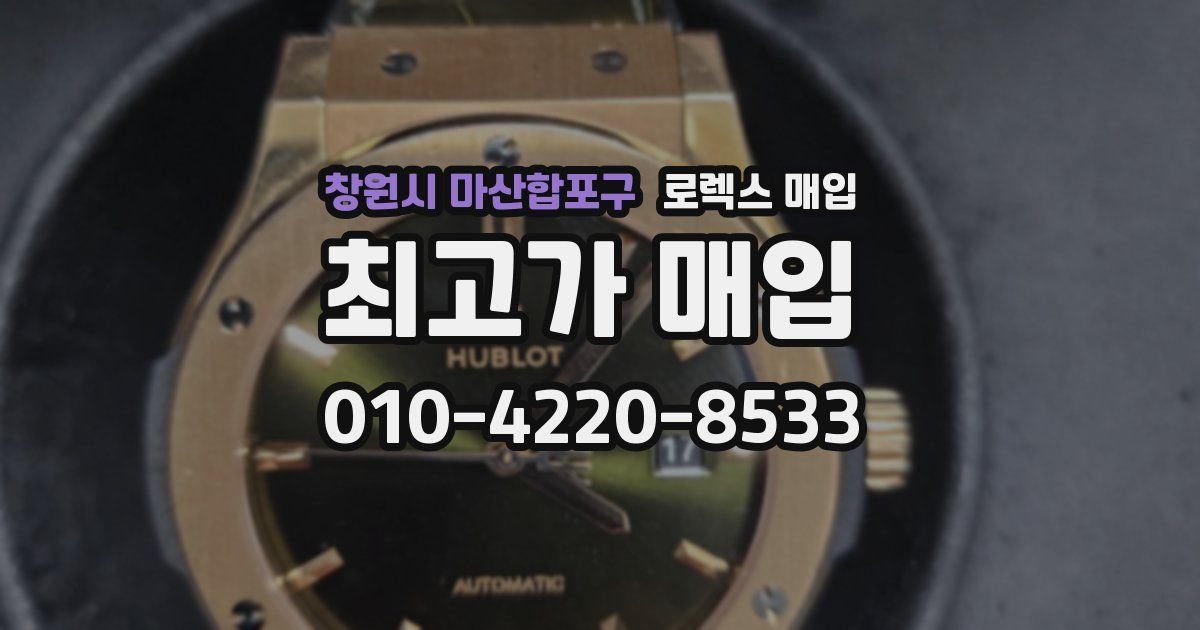 창원시 마산합포구 로렉스 매입