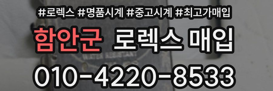 함안군 로렉스 매입