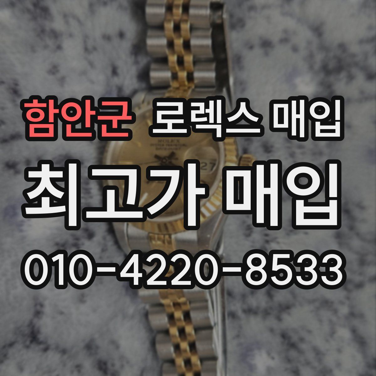 함안군 로렉스 매입