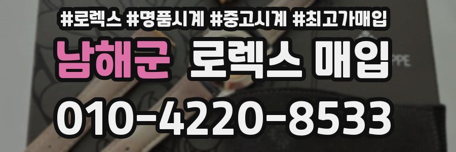 남해군 로렉스 매입