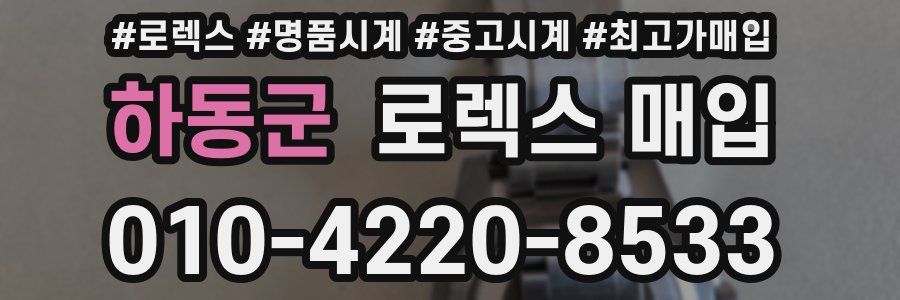 하동군 로렉스 매입