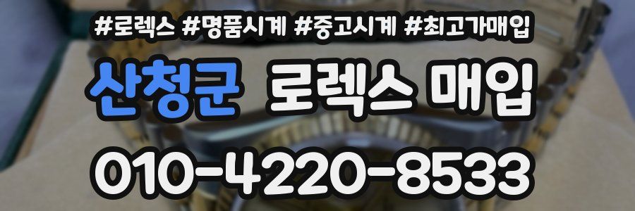 산청군 로렉스 매입