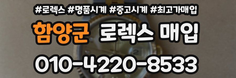 함양군 로렉스 매입